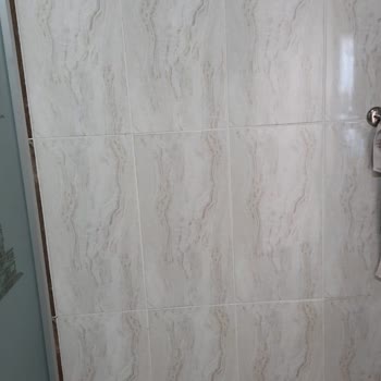 Türkiye Sigorta Başvurusu Hakkında Talebimin Karşılanması