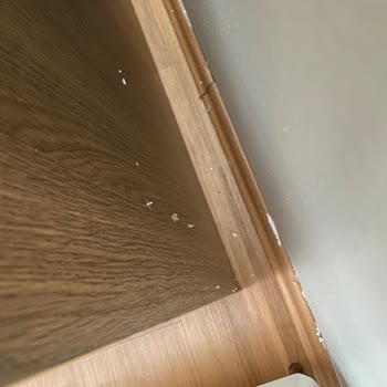 Kelebek Mobilya Logismart Kurulum Ekibi Mağduriyet