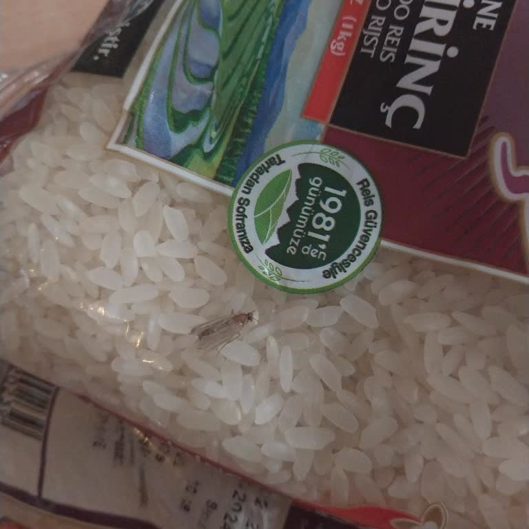 Reis Gıda Reis Baldo Pirinçte Böcek