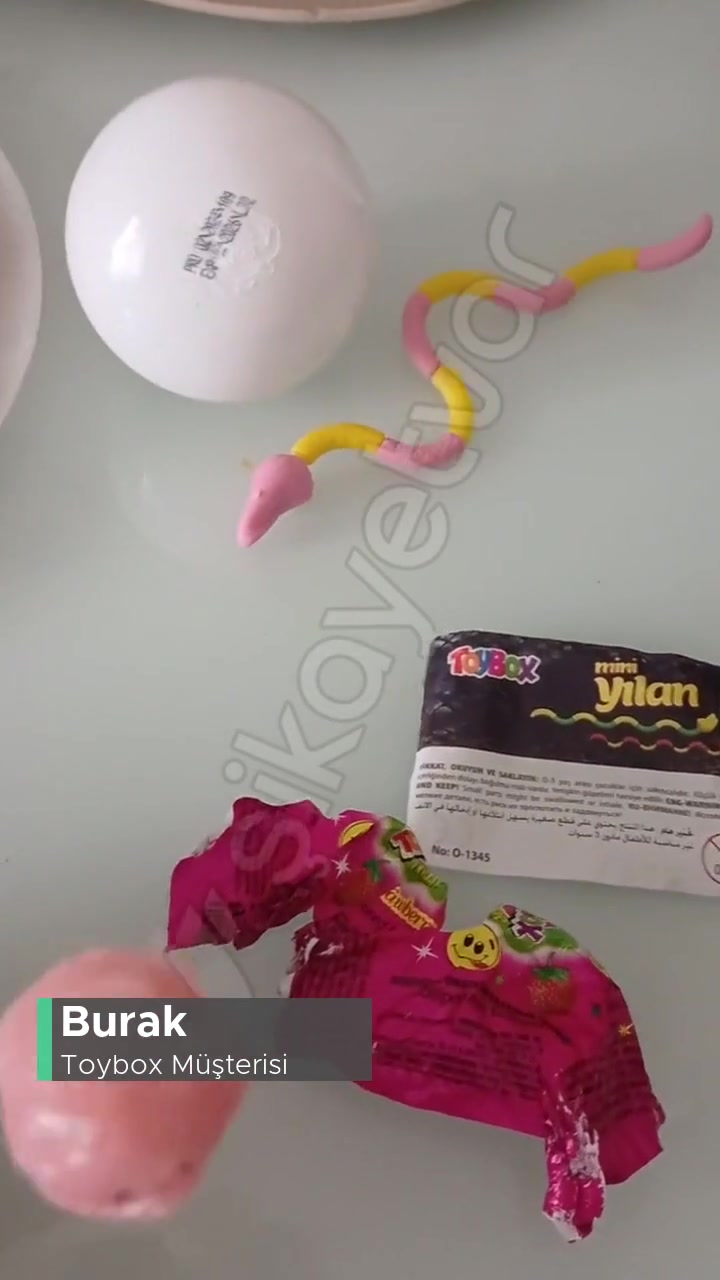 Toybox Şekerlerinin İçinde Karıncalar Var videonun kapak resmi