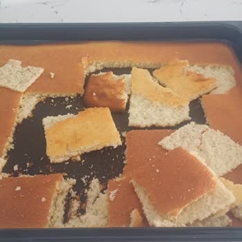 Vestel Fırın Pişirme Sorunu Ve Çözüm Eksikliği