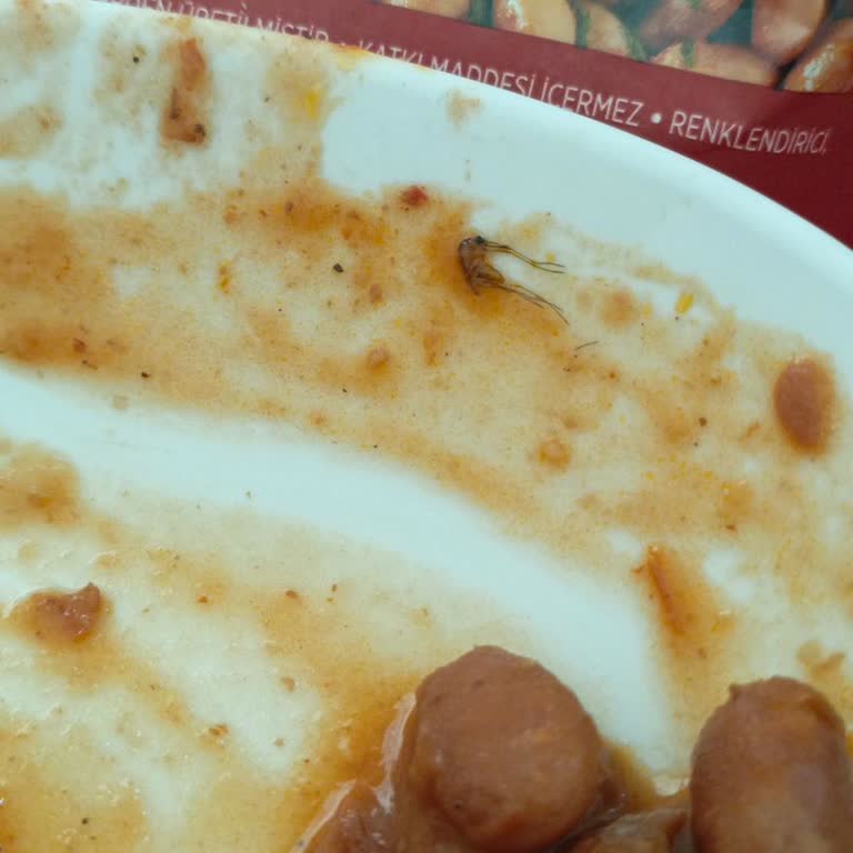 Duru Bulgur Hazır Yemekteki Sivrisinek