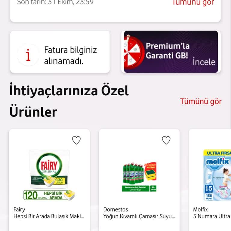 Fatura Bilgisi Erişim Sorunu