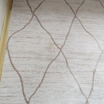 Halıcı Nihat Halı Kalitesi Ve Müşteri Hizmetlerinde Hayal Kırıklığı