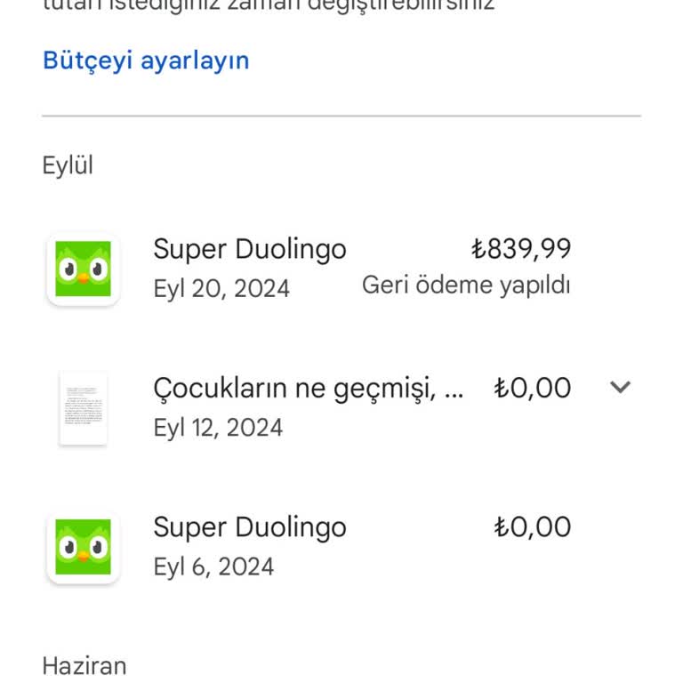 Duolingo Uygulaması Para İadesi Yapmıyor