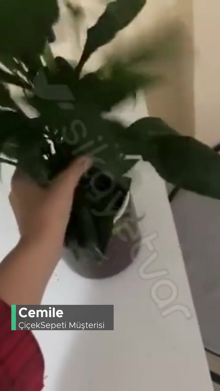 Çiçek Sepeti Yanlış Sipariş Bana Geldi. Benim Çiçeğim Başkasına Mı Gitti? videonun kapak resmi