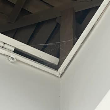 Gamzem Temizlik Eksik Ve Yetersiz Temizlik Hizmeti