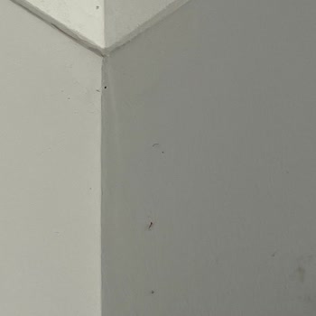 Gamzem Temizlik Eksik Ve Yetersiz Temizlik Hizmeti