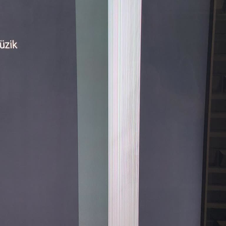 Philips TV Ekran Sorunu