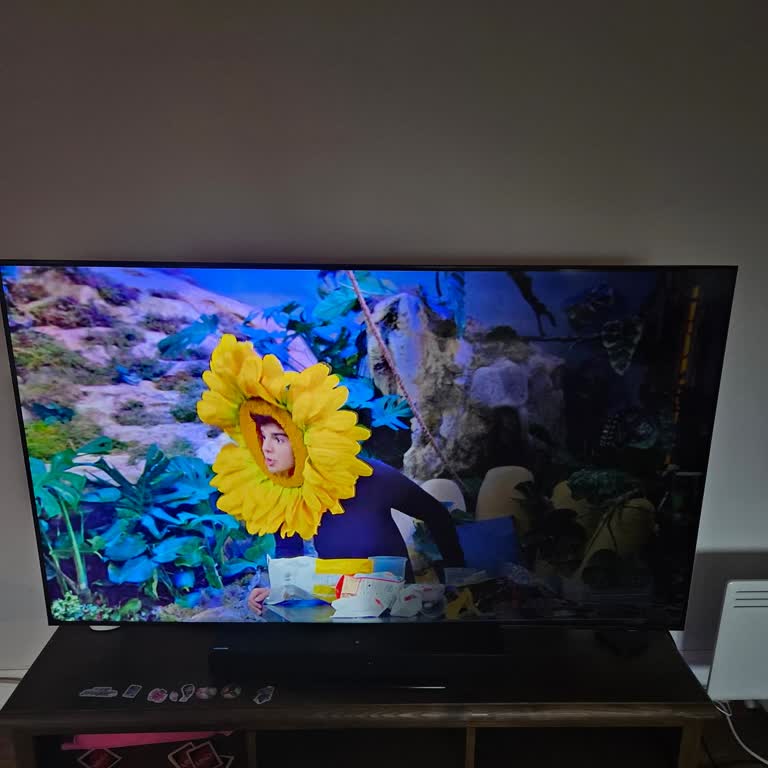 Samsung Televizyonun Ekranının Yarısı 2 Sene Sonra Karardı