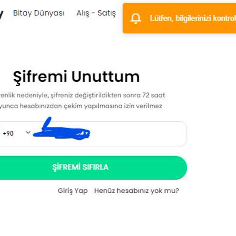 Bitay Hesabıma Erişemiyorum Ve Bakiyem Yok Gözüküyor