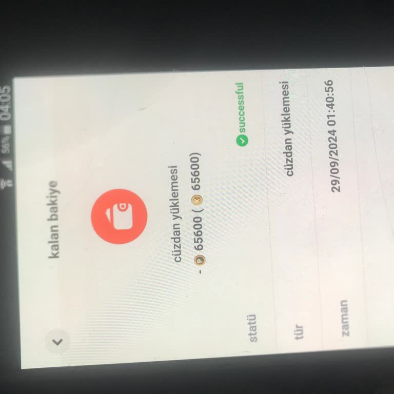 Payoneer Yanlışlıkla Gönderilen Ödeme İçin Yardım Talebi