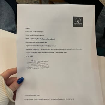 Gündem Pet Hasta Hayvan Satıyor