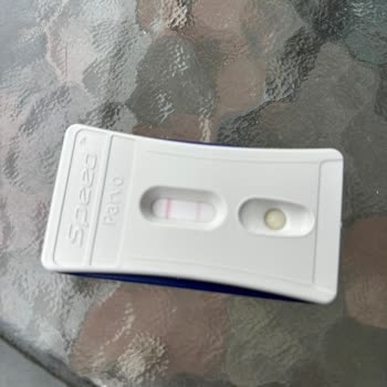 Gündem Pet Hasta Hayvan Satıyor