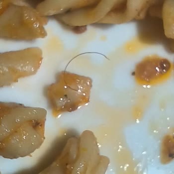 Yayla Bakliyat Yayla Napoliten Soslu Makarnadan Kıl Çıkması