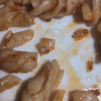 Yayla Bakliyat Yayla Napoliten Soslu Makarnadan Kıl Çıkması