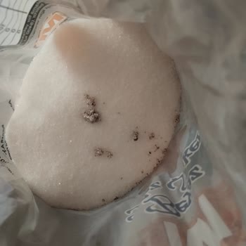 Migros Toz Şeker İçinde Çıkan Şeyler