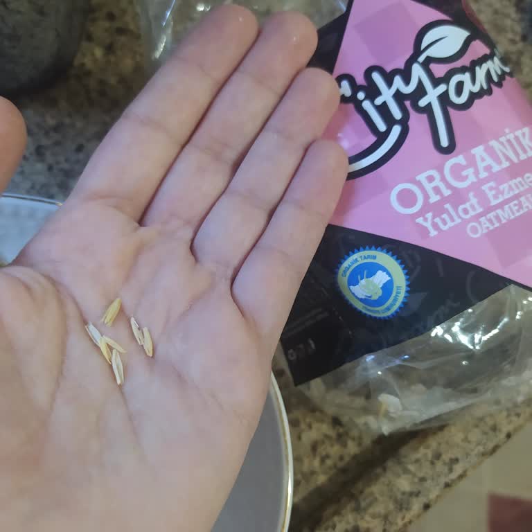 Organik City Farm Yulaf Ezmesi