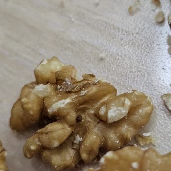 Çitlekçi Sağlığımızla Oynayan Böcekli Kuruyemişler