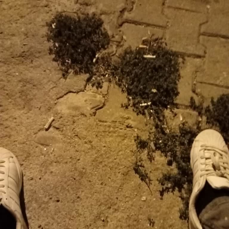 Jojobet Paramı Geri İstiyorum