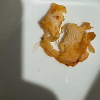 Keskinoğlu Tüylü Döner Yapmış
