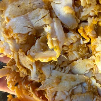 Keskinoğlu Tüylü Döner Yapmış