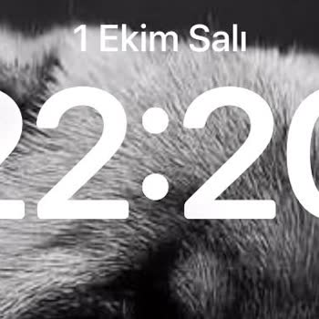 Bayraklı Belediyesi Körfez Mah. Belediye Kafesi Satış Yok