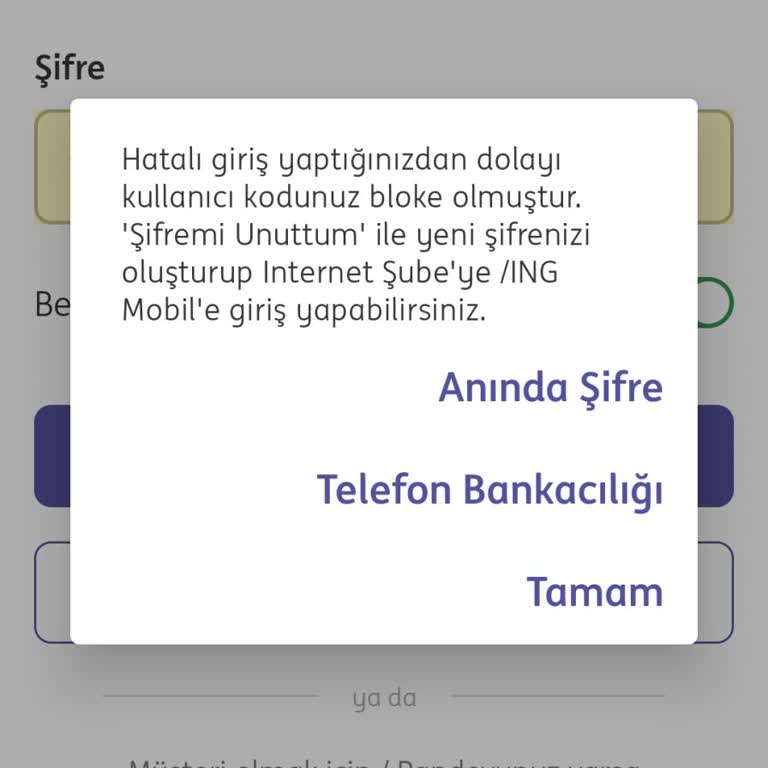 ING Bank Giriş Yapamıyorum