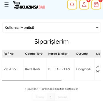 Ne Lazımsa Bak Nelazımsabak Sitesi İlgisizliği.