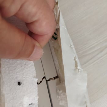 Koçtaş'tan İade Süreci Hakkında Şikayet