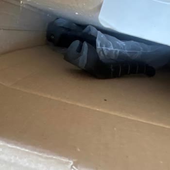 Defolu Ürün Schafer İkili Tava Kırıp Sap