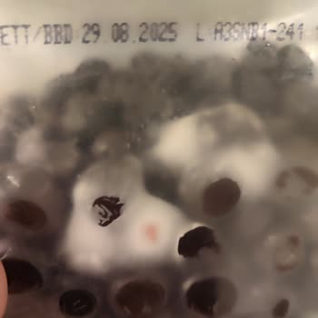 Tukaş Zeytin Son Kullanma Tarihi Gelmeden Küflendi