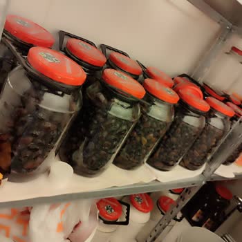 Tukaş Zeytin Son Kullanma Tarihi Gelmeden Küflendi