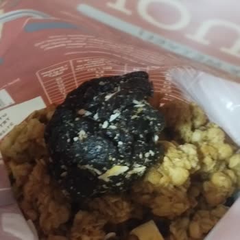 Kellogg's Granola Yabancı Madde