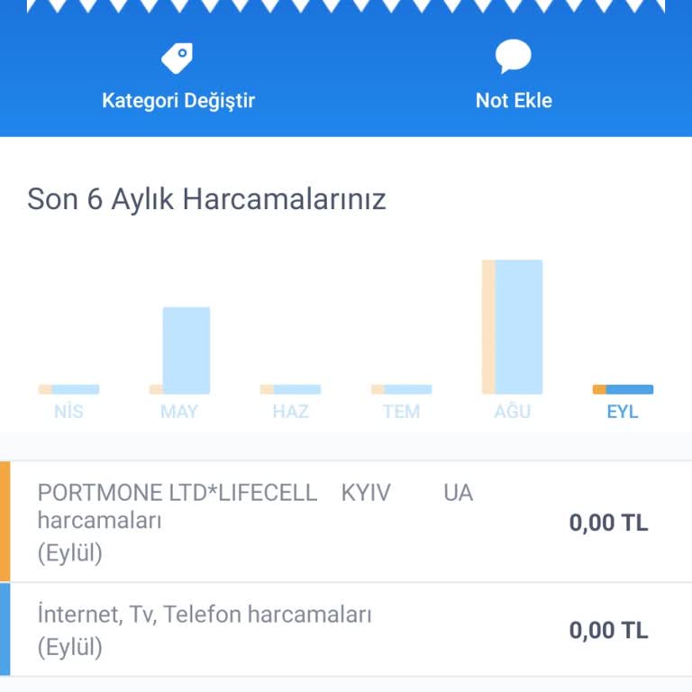 İş Bankası İki Kere Hesabımdan Para Almıştır