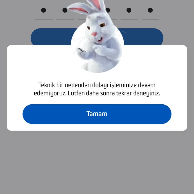 Fibabankası Mobil Bankacılığa Giriş Sorunu