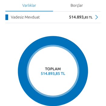Yüksek Faiz ve Bloke Nedeniyle Hesap Kapatma Zorunluluğu