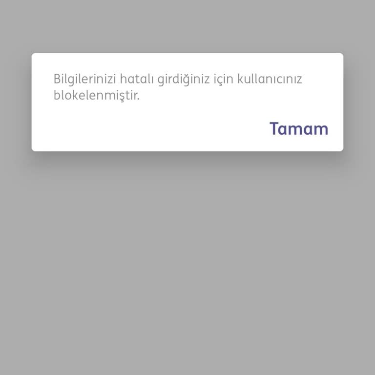 ING Şifre Bloke Sorunu ve Müşteri Hizmetleri Erişimsizliği