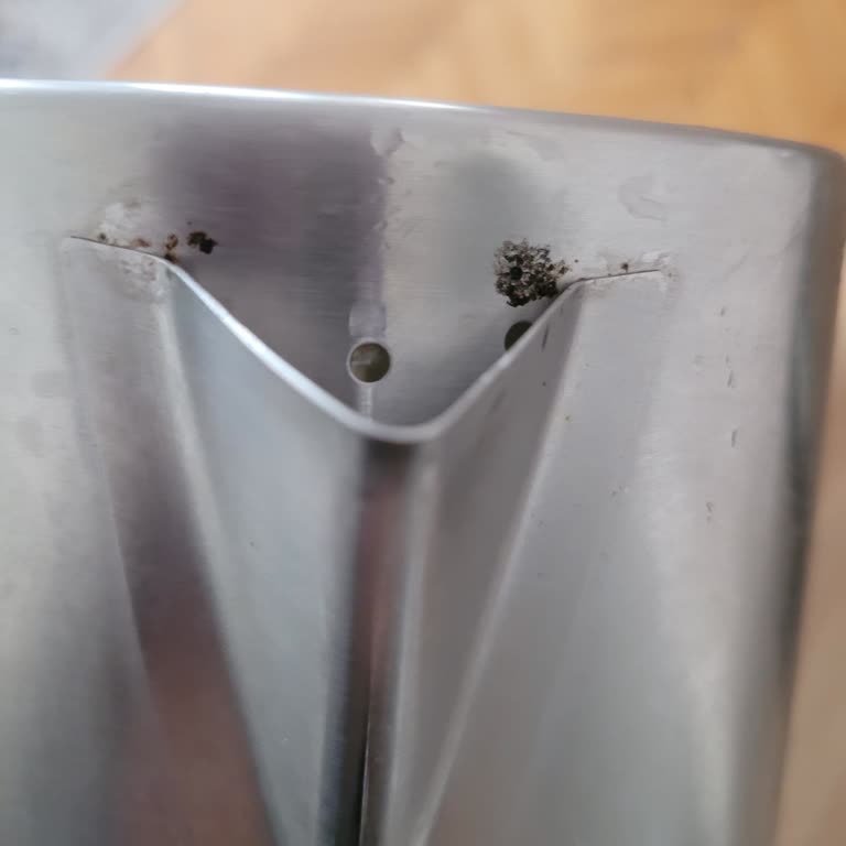 Tefal XL Tea Expert Delux Çay Makinesinde Paslanma Sorunu Ve Yetersiz Servis Hizmeti