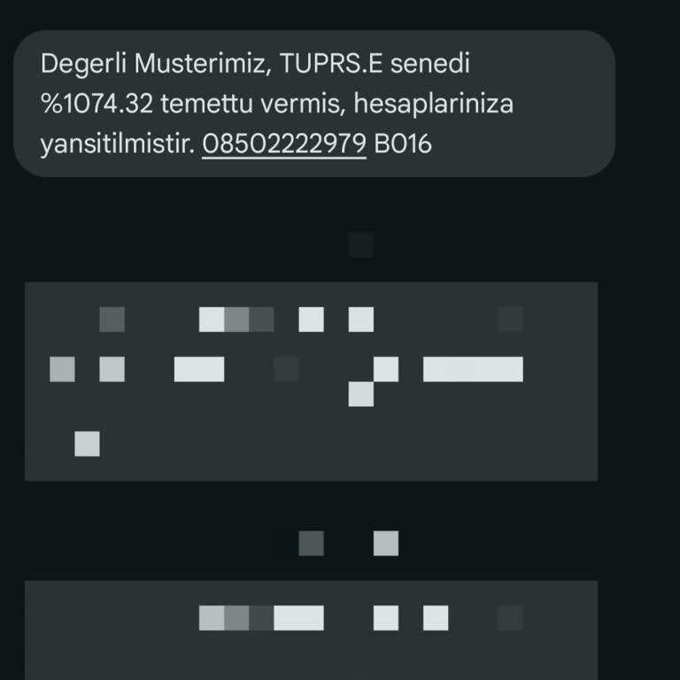 Ziraat Bankası Temettü Ödemesi Sorunu