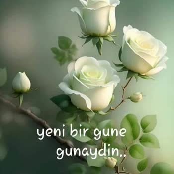 Sompo Sigorta: Hasar Ödemesi İçin Sürekli Oyalama