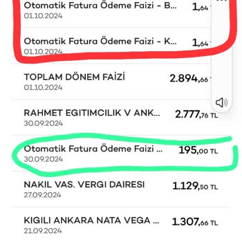 Otomatik Talimat Faizi ve Güven Sorunu