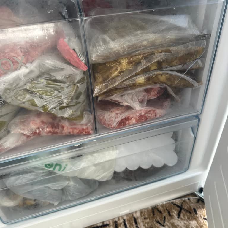 Bosch Buzdolabının Derin Dondurucu Bölmesindeki Çatlak ve Sıcaklık Sorunu