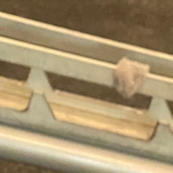 Macfit | Ankara Sağlık İçin Gittiğim Spor Salonunda Şoke Edici Manzara