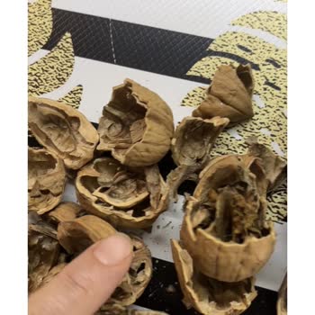 Bayat ve Bozulmuş Ürünler: Paramın İadesini İstiyorum