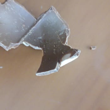 Çikolatadan Kurt Çıktı ve Çocuğumun Karnı Ağrıyor
