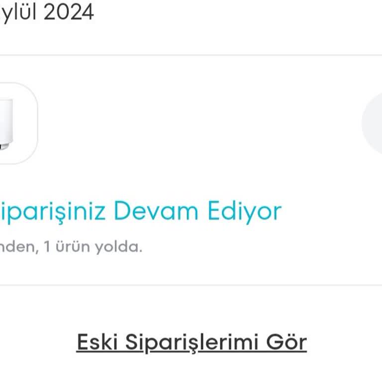 Termosifon Teslimatında Gecikme ve Belirsizlik