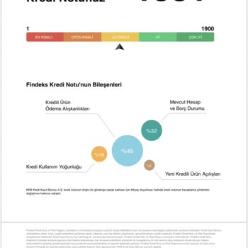 Findeks Risk Raporu Sorgulamak Puanımı Düşürdü