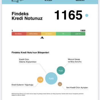 Findeks Risk Raporu Sorgulamak Puanımı Düşürdü