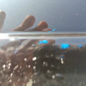 2024 Model Opel Astra'da Tavan Boyası Sorunu ve Yetersiz Çözüm Teklifi